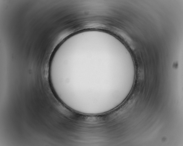 X0000102501322200808221744