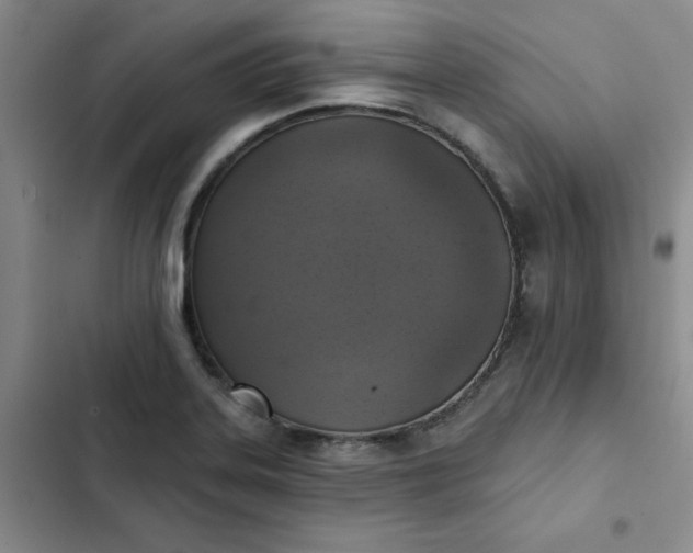 X0000102501323200808221744