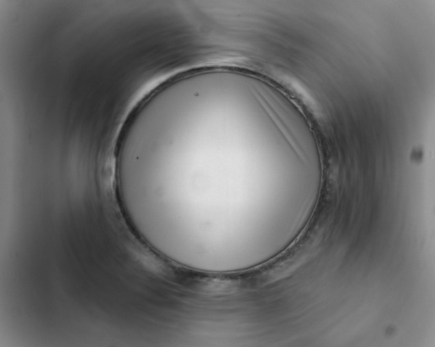 X0000102501324200808221744