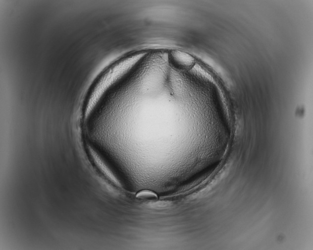 X0000102501325200808221745