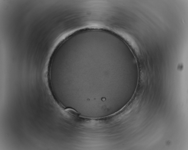 X0000102501327200808221745