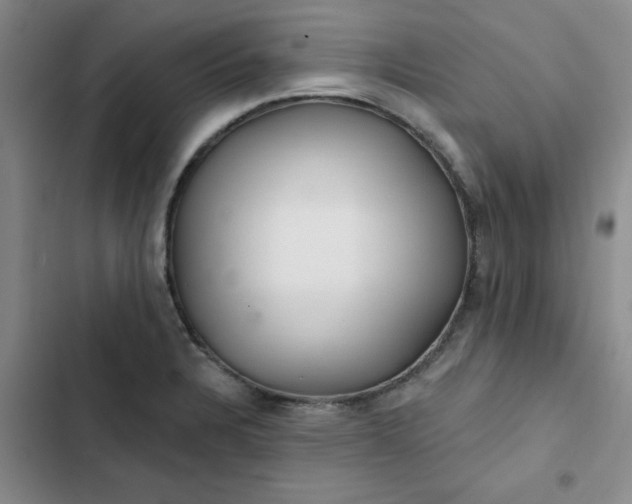 X0000102501328200808221745