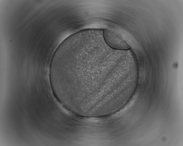 X0000102501329200808221745