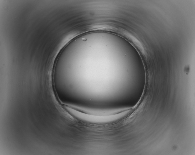 X0000102501330200808221745