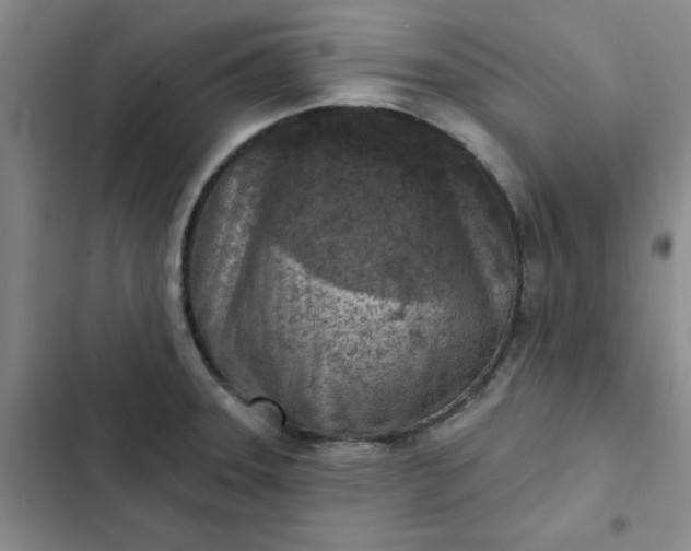 X0000102501331200808221745