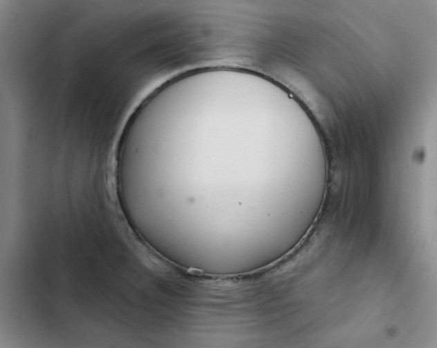 X0000102501332200808221745