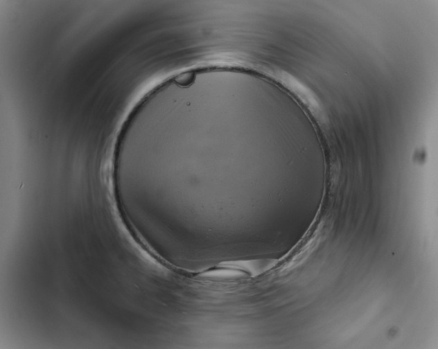 X0000102501334200808221745