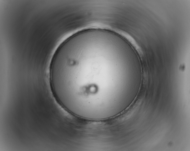 X0000102501335200808221745