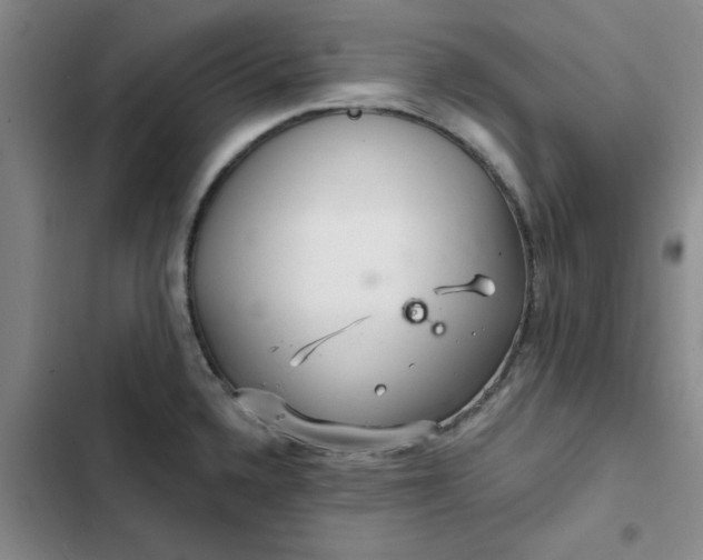 X0000102501336200808221745