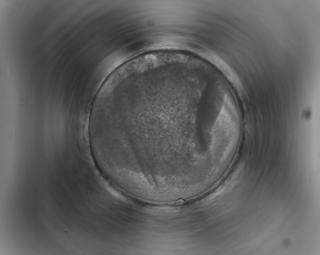 X0000102501337200808221745