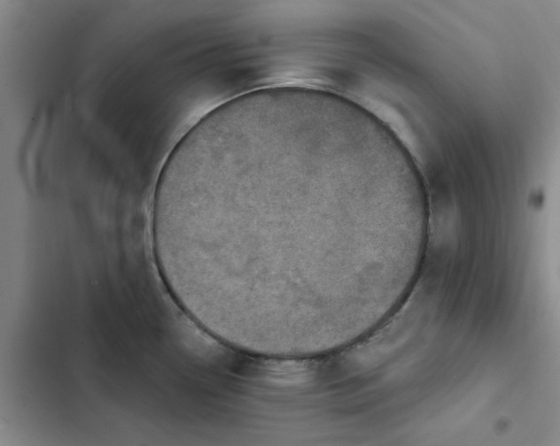 X0000102501338200808221745