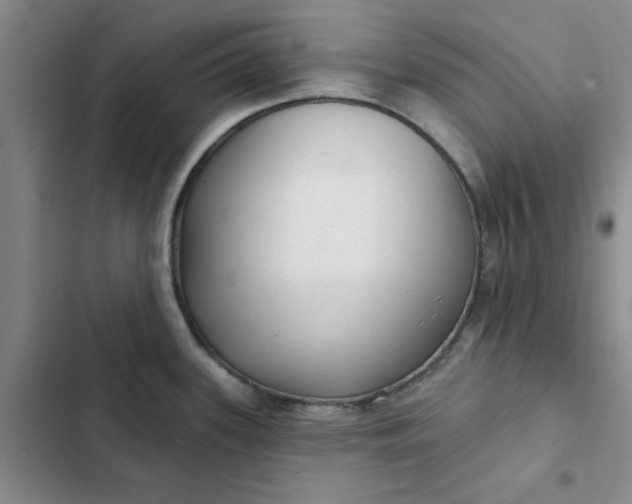 X0000102501339200808221745