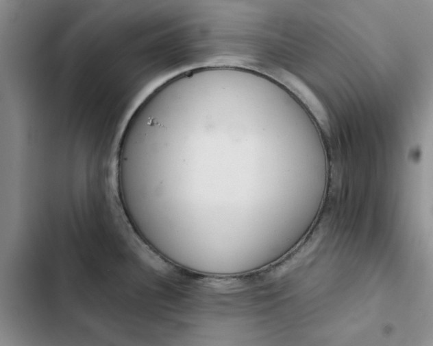 X0000102501340200808221745