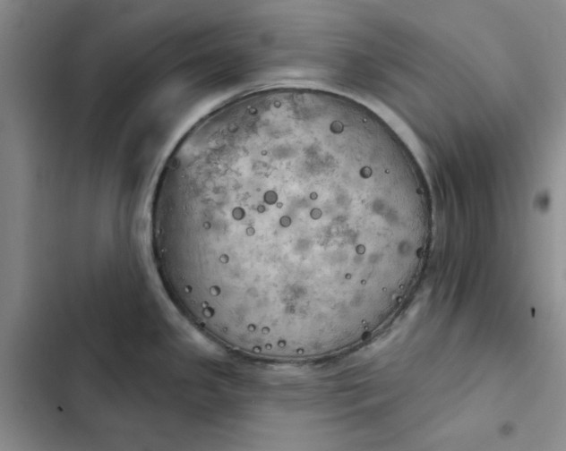 X0000102501341200808221745