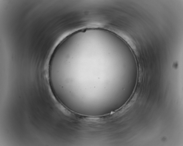 X0000102501342200808221745