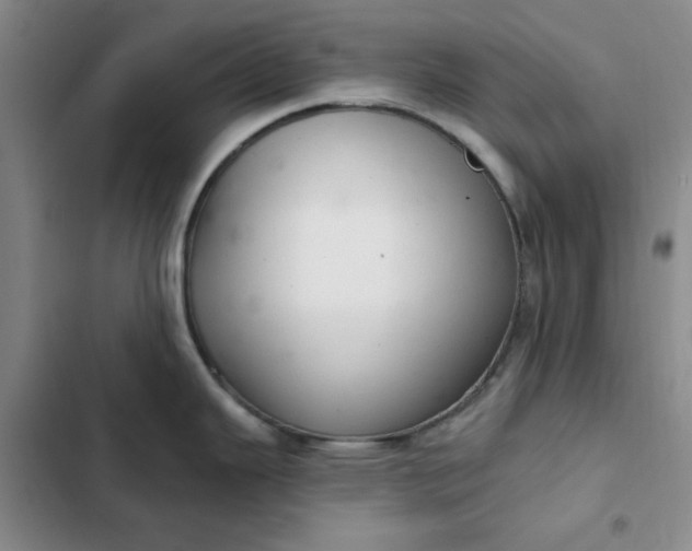 X0000102501343200808221745