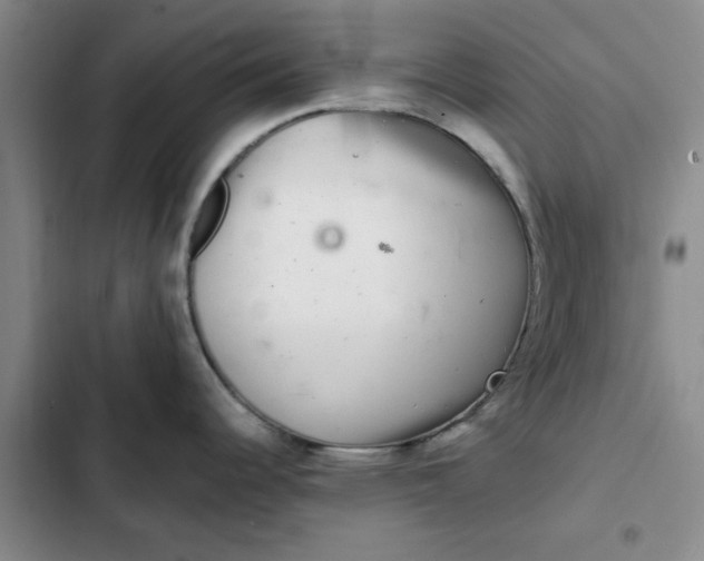 X0000102501344200808221745