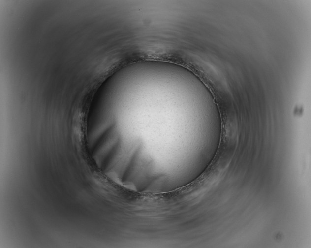 X0000102501346200808221744