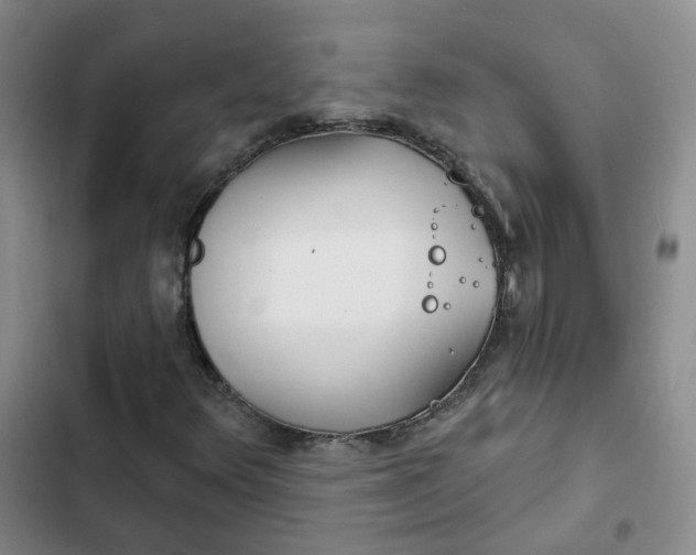 X0000102501348200808221744