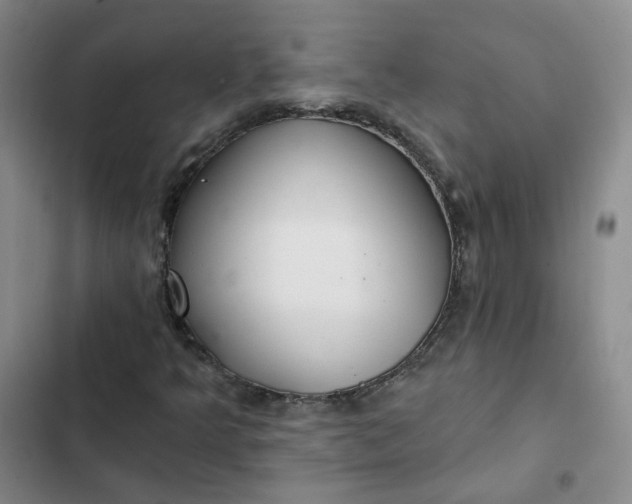 X0000102501349200808221744