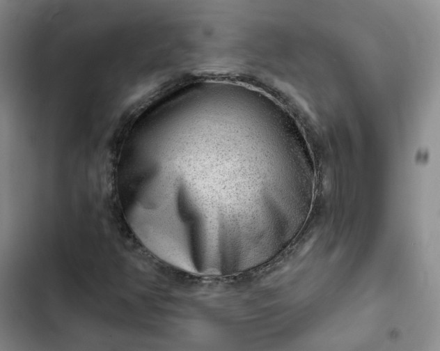 X0000102501350200808221744