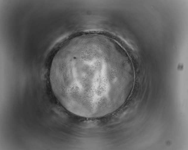 X0000102501351200808221744