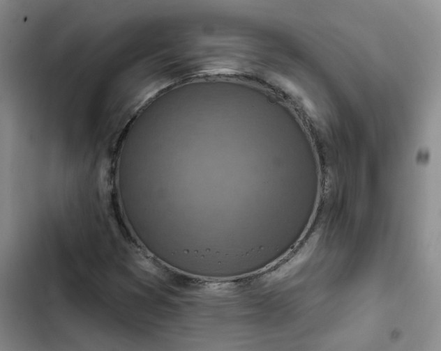 X0000102501353200808221744