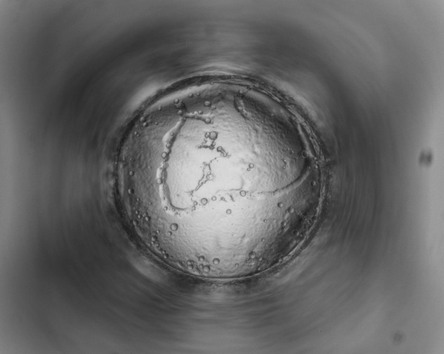 X0000102501355200808221744