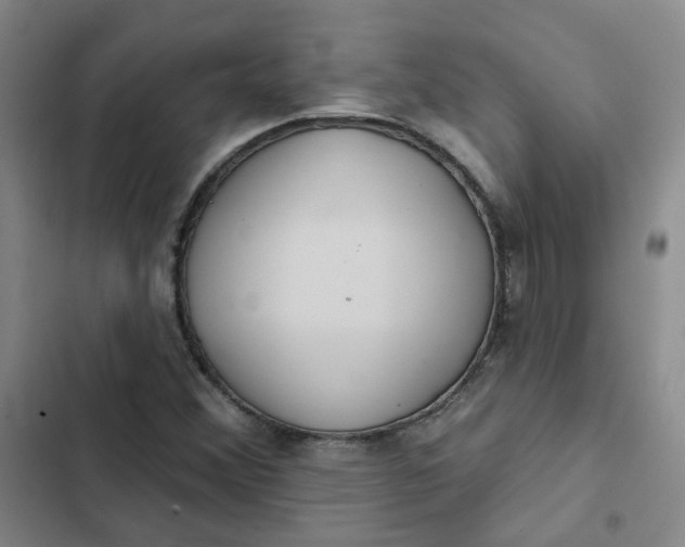 X0000102501356200808221744