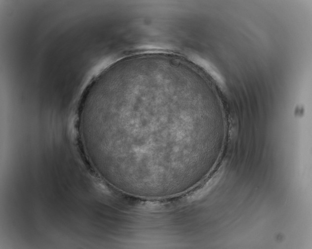 X0000102501357200808221744