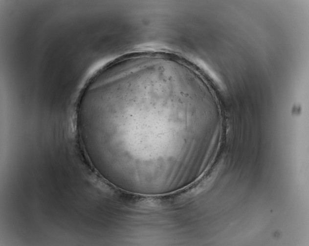 X0000102501358200808221744