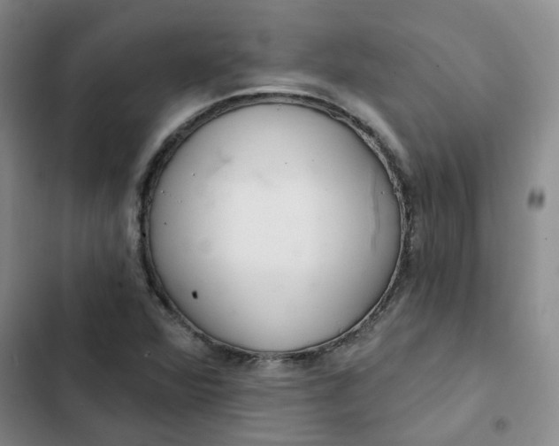 X0000102501360200808221744