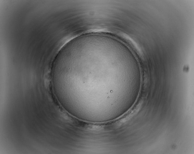 X0000102501361200808221744