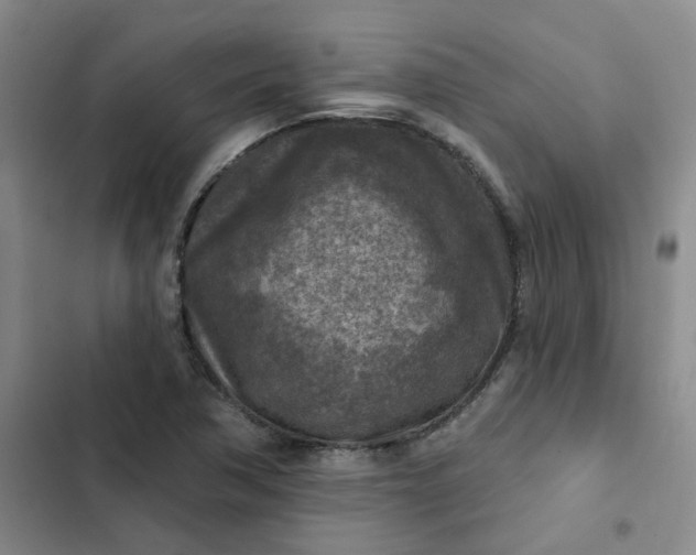 X0000102501362200808221744