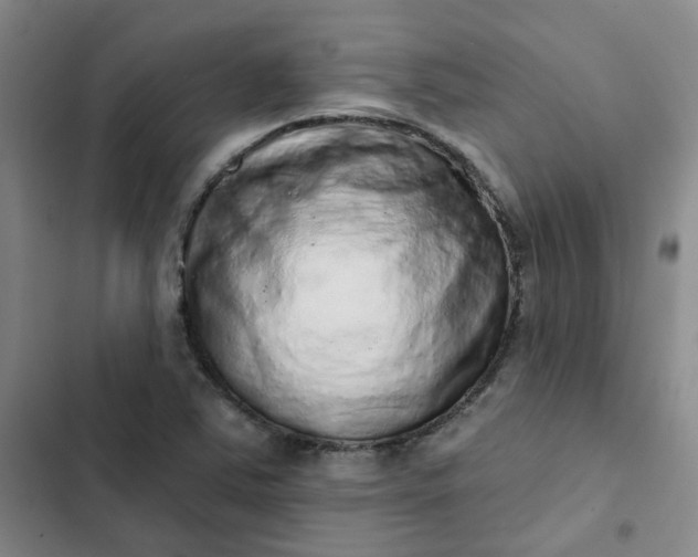 X0000102501363200808221744