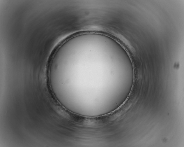 X0000102501364200808221744