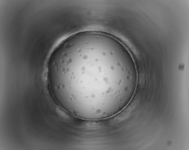 X0000102501366200808221744