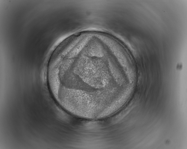 X0000102501367200808221744