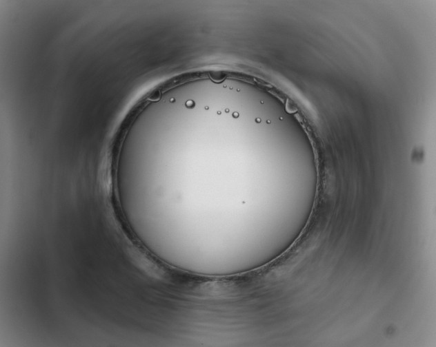 X0000102501368200808221744