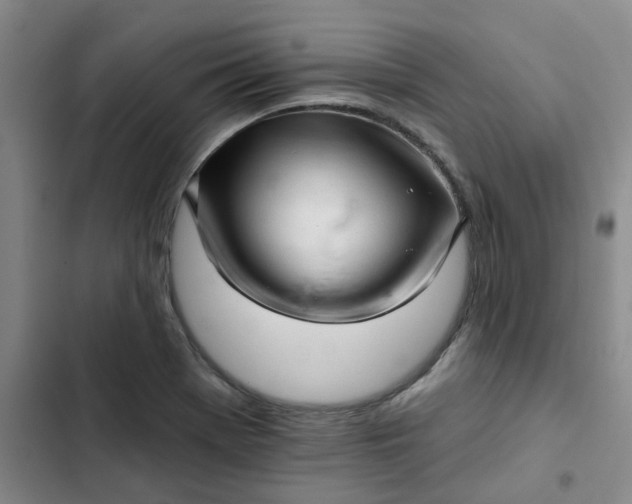 X0000102501369200808221744