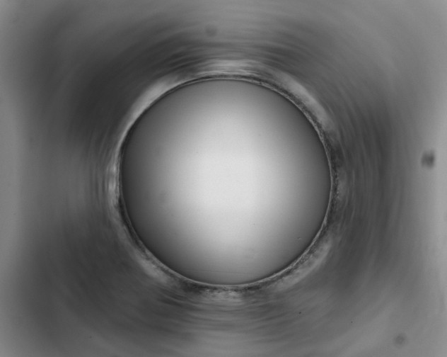 X0000102501370200808221744