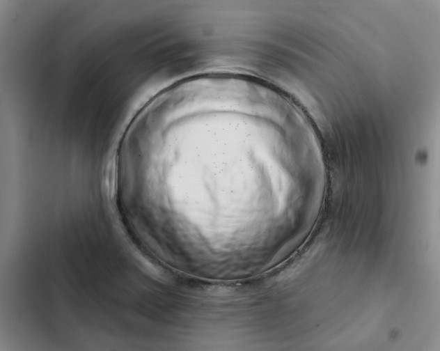 X0000102501371200808221744