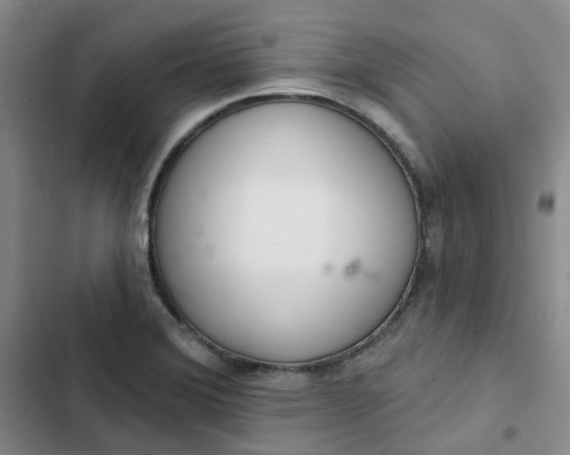 X0000102501372200808221744