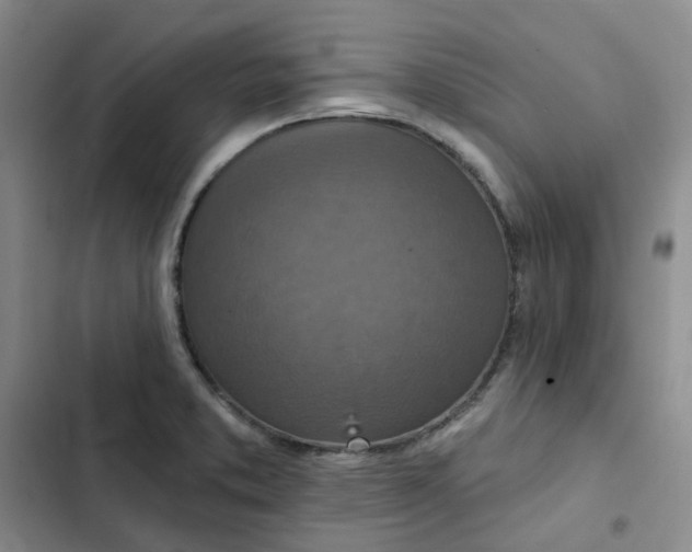 X0000102501373200808221744