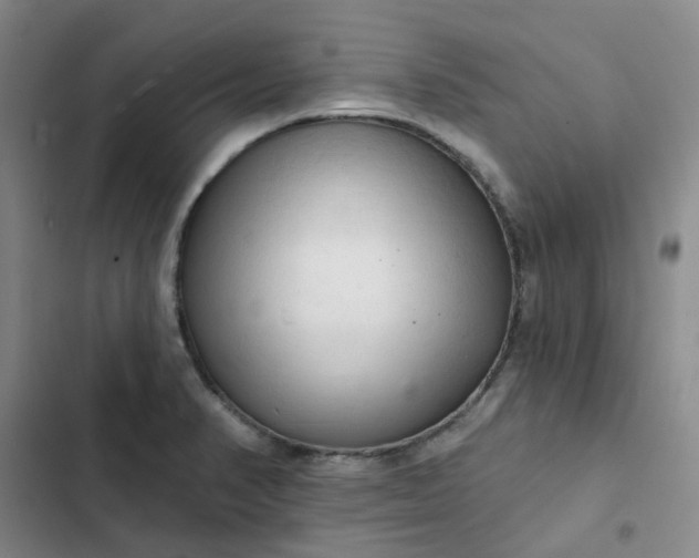 X0000102501374200808221744