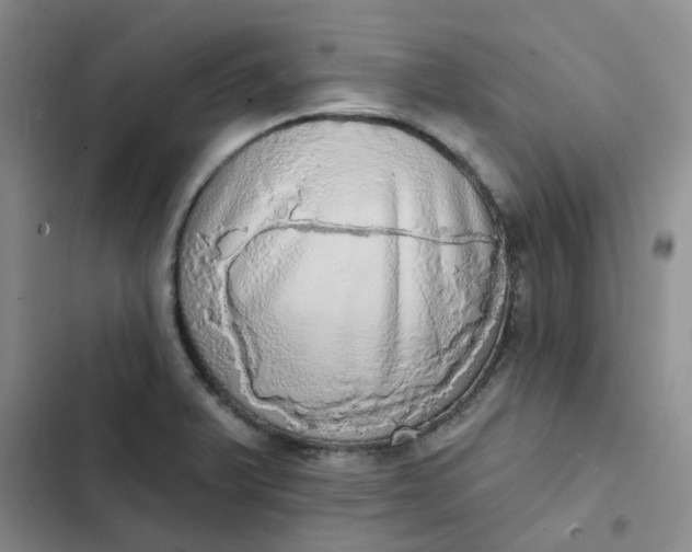 X0000102501375200808221744