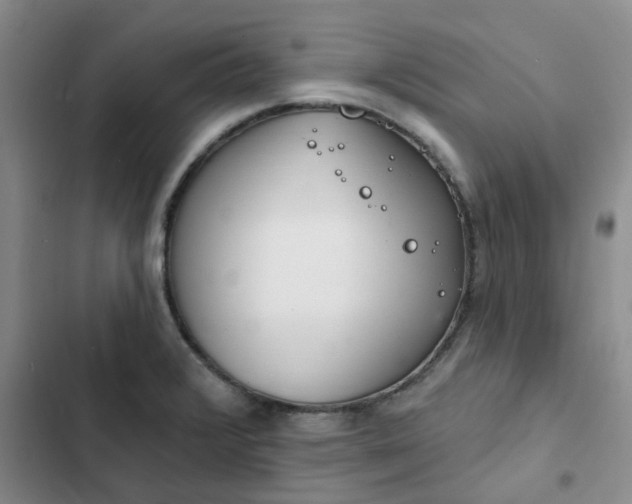 X0000102501376200808221744