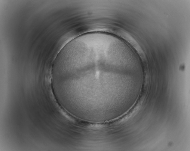 X0000102501377200808221744