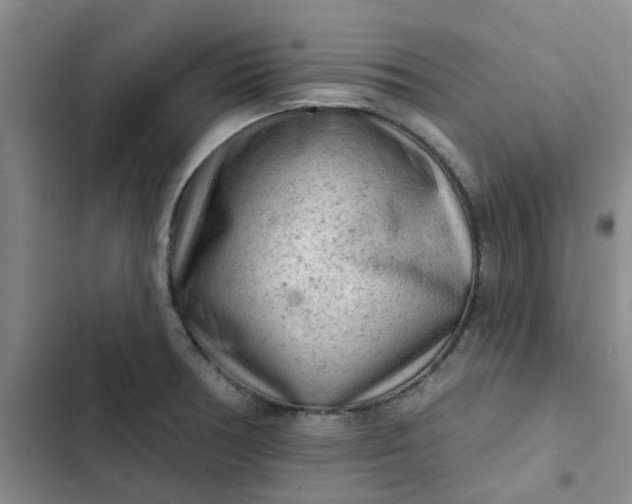 X0000102501378200808221744