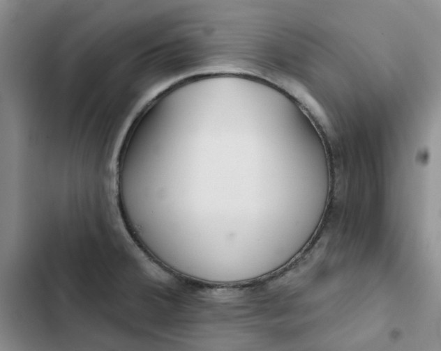 X0000102501380200808221744